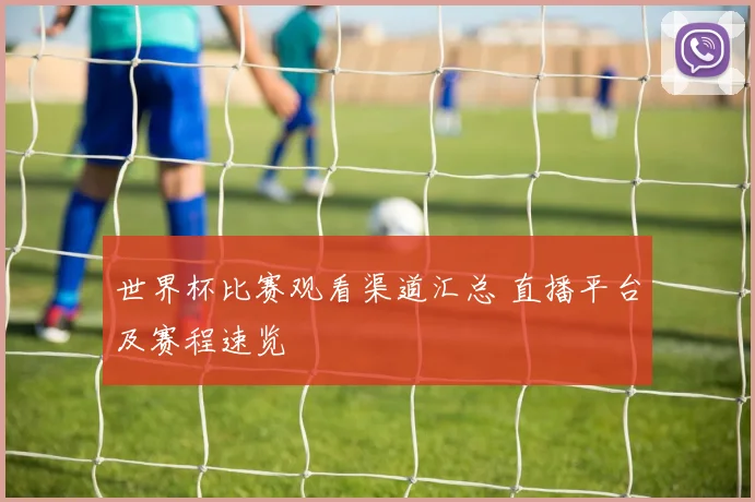 世界杯比赛观看渠道汇总 直播平台及赛程速览