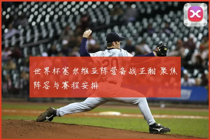 世界杯塞尔维亚阵营备战正酣 聚焦阵容与赛程安排