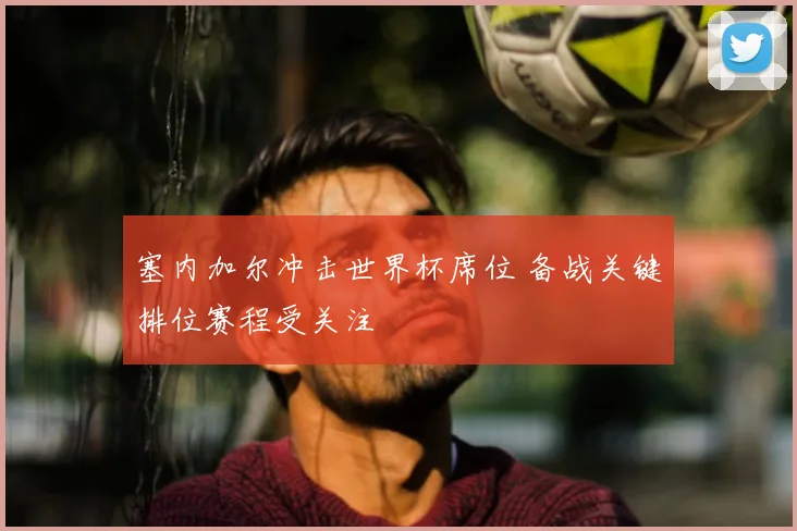 塞内加尔冲击世界杯席位 备战关键排位赛程受关注