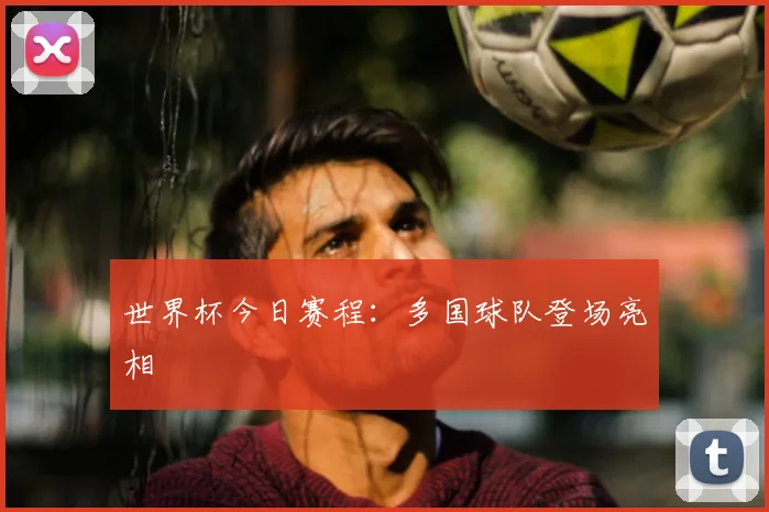 世界杯今日赛程：多国球队登场亮相