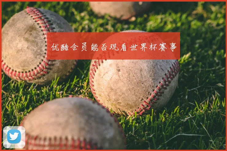 优酷会员能否观看世界杯赛事