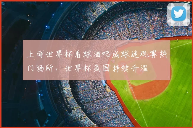 上海世界杯看球酒吧成球迷观赛热门场所，世界杯氛围持续升温